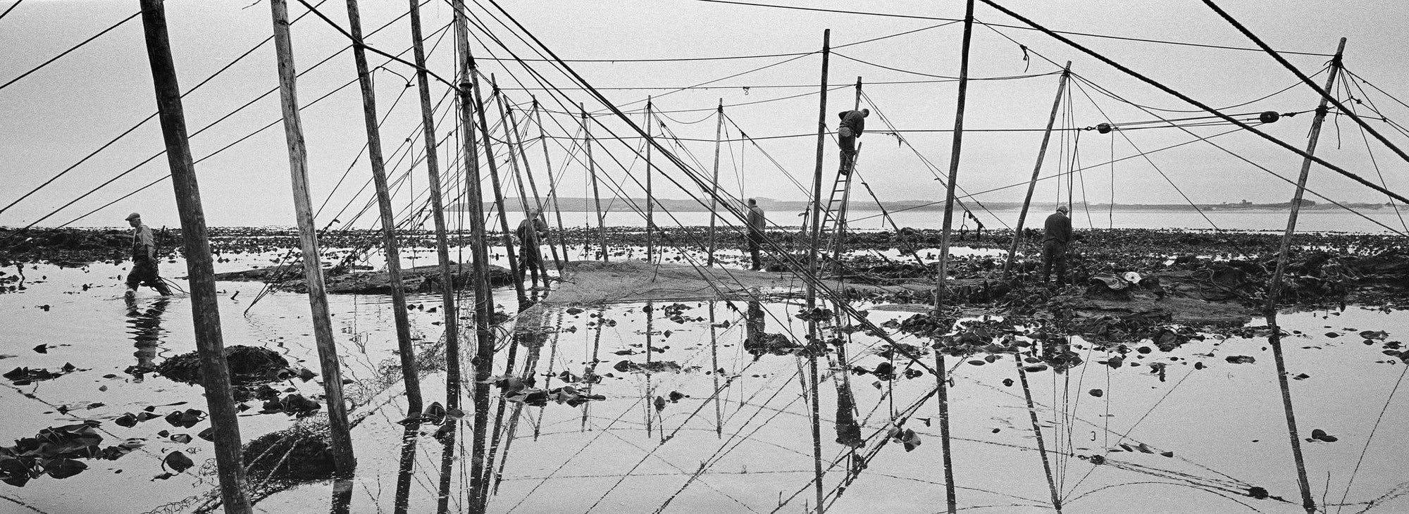 Catching The Tide: Salmon Net Fishing in Scotland