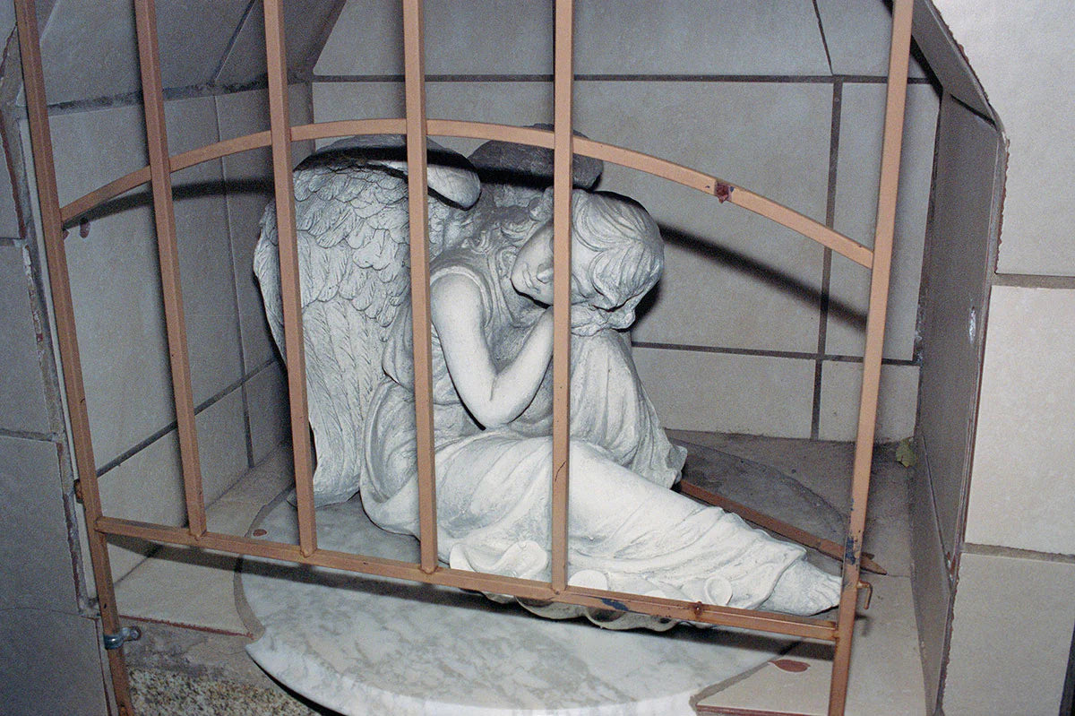 洋書 Failing - Michael Brodie Failing - Mike Brodie • Micamera Bookstore