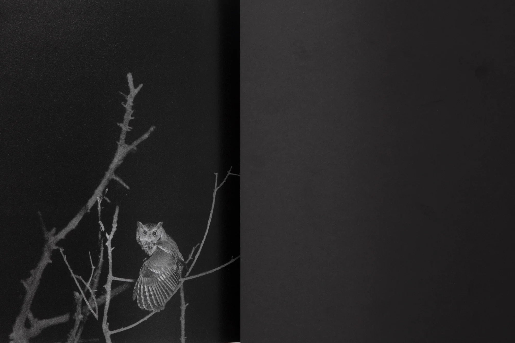 What the Rain Might Bring