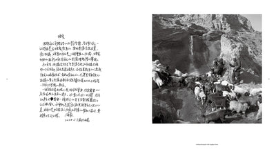 Li Qiang: China Since 1981