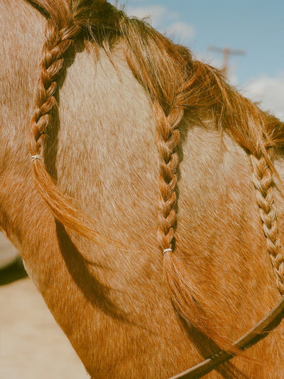 Another Patch of Sky