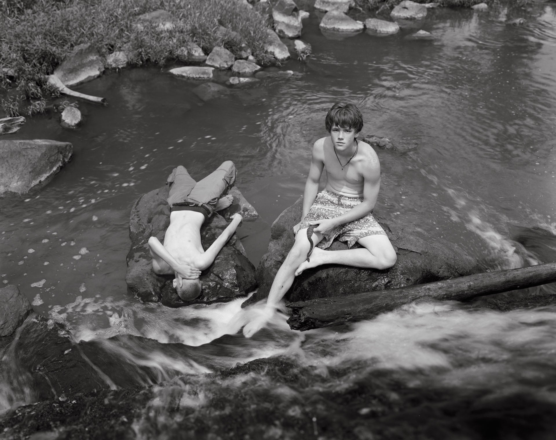 Photograph from Family Genus Species