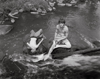Photograph from Family Genus Species