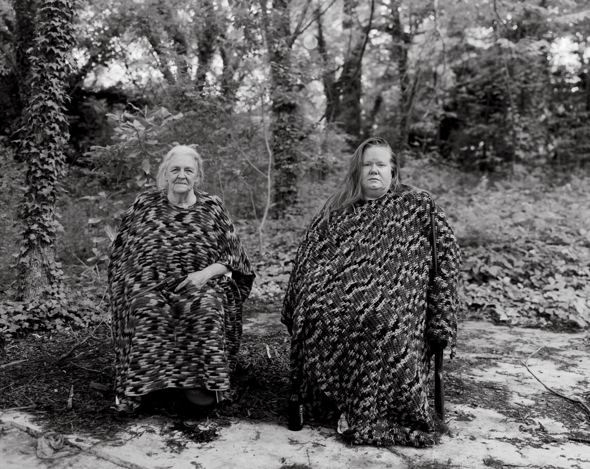 Photograph from Family Genus Species
