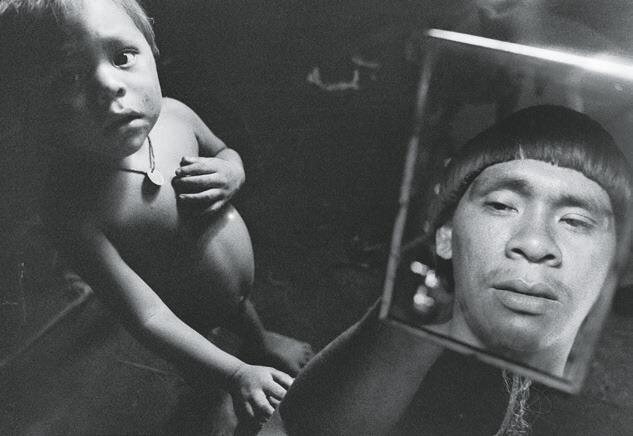 The Yanomami Struggle