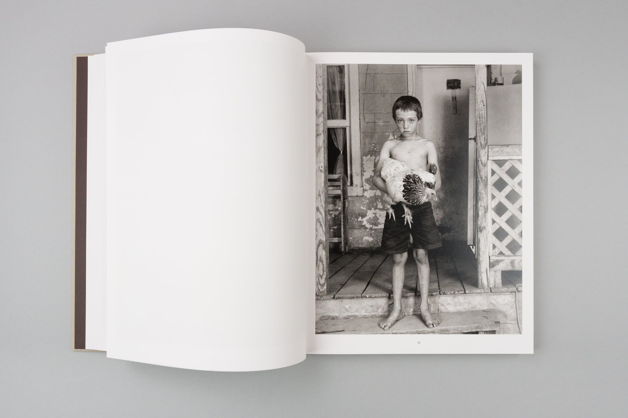 From the Heads of the Hollers