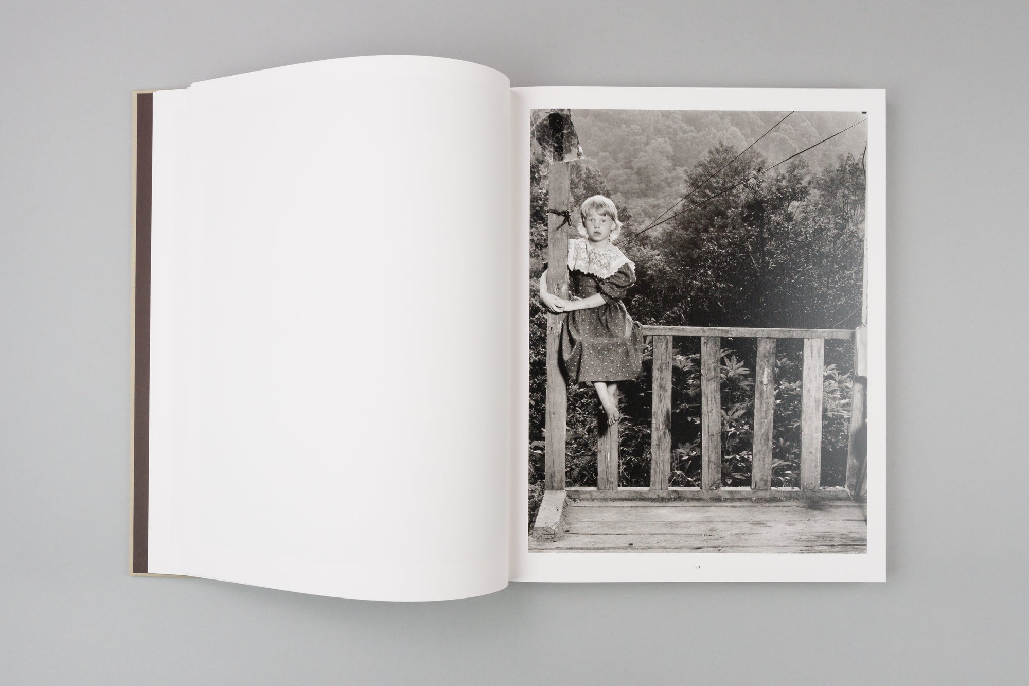 From the Heads of the Hollers