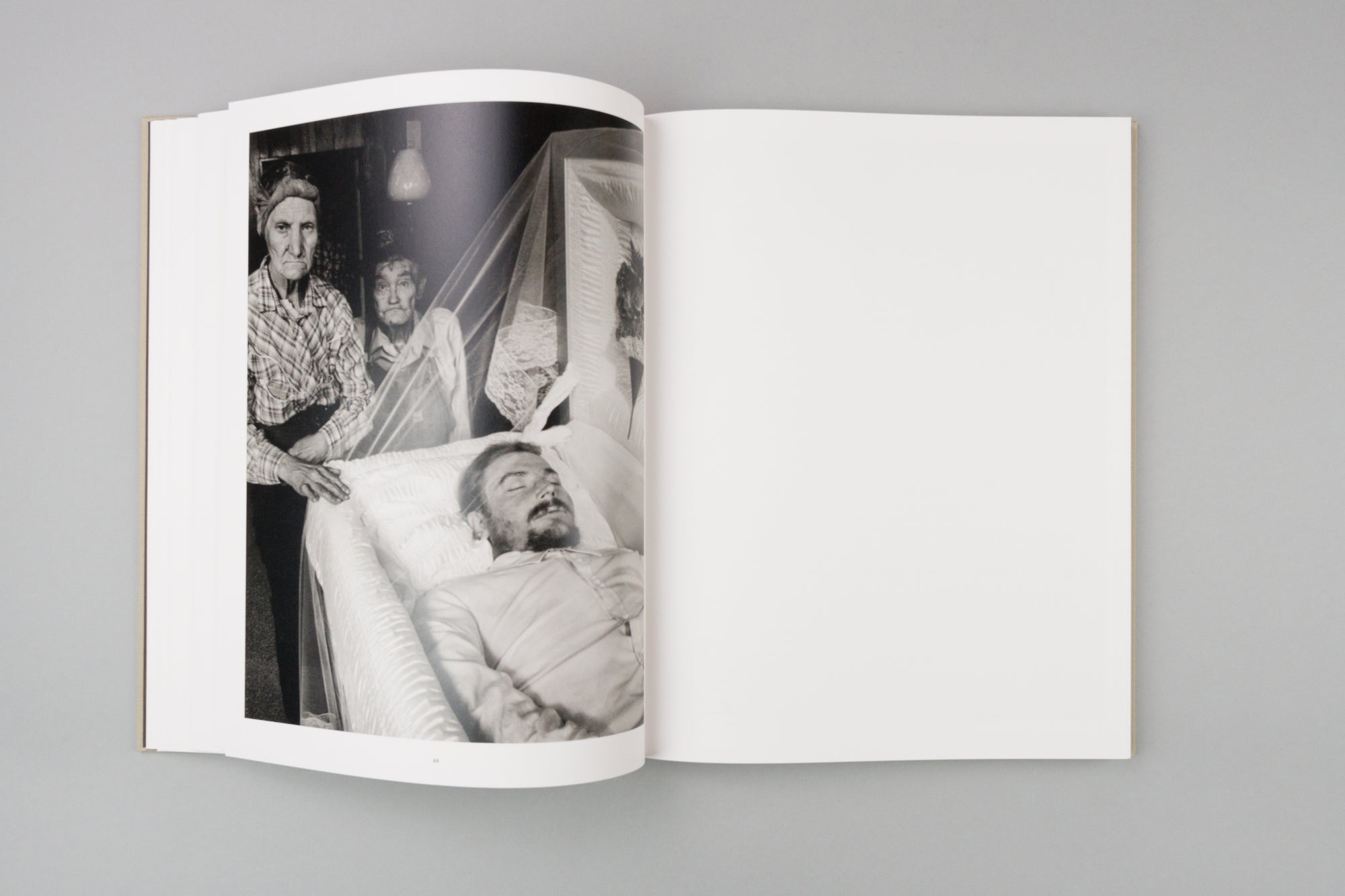 From the Heads of the Hollers