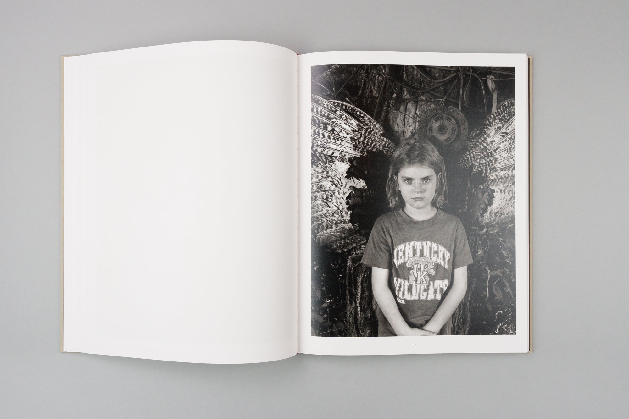 From the Heads of the Hollers