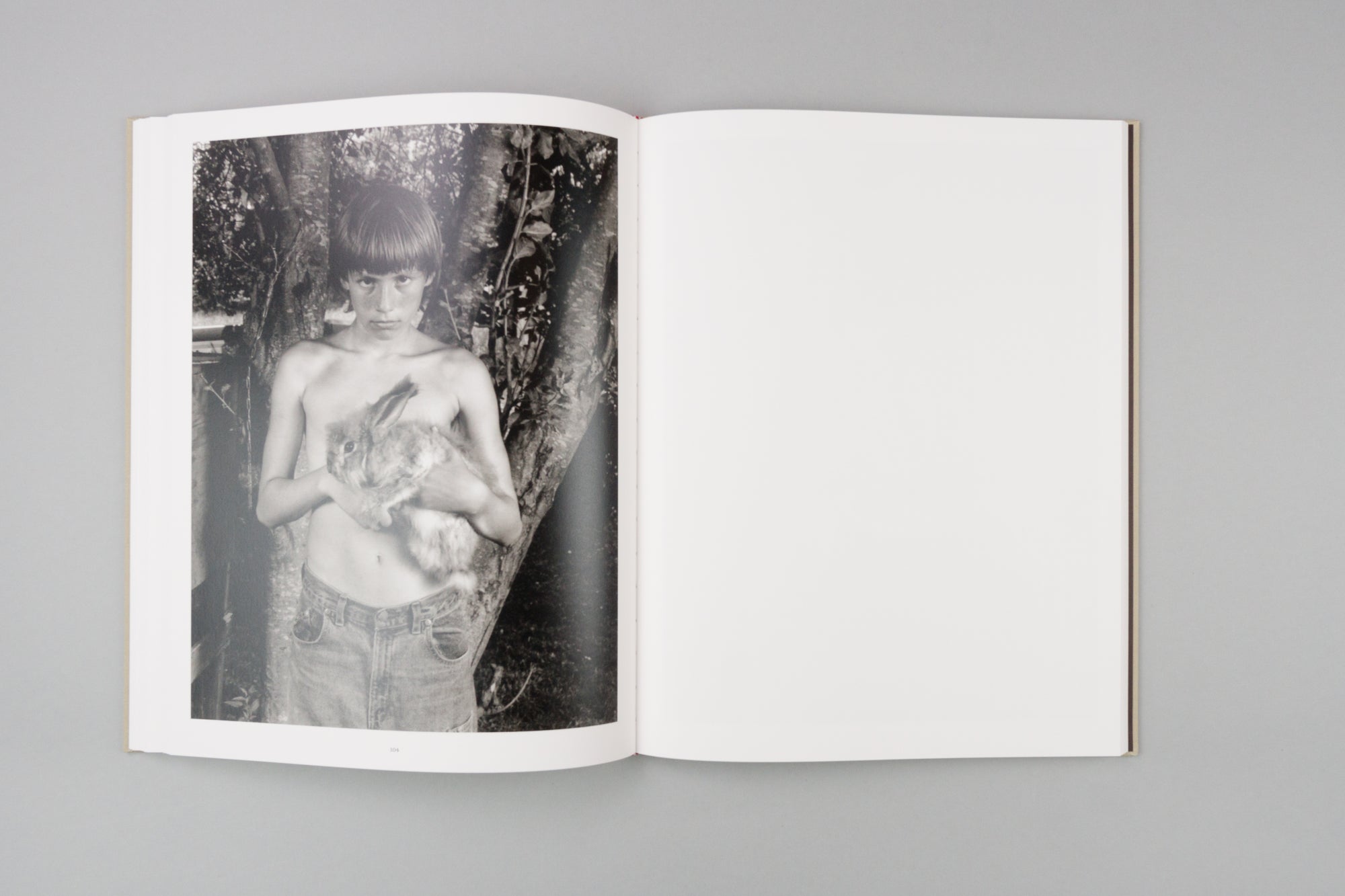 From the Heads of the Hollers