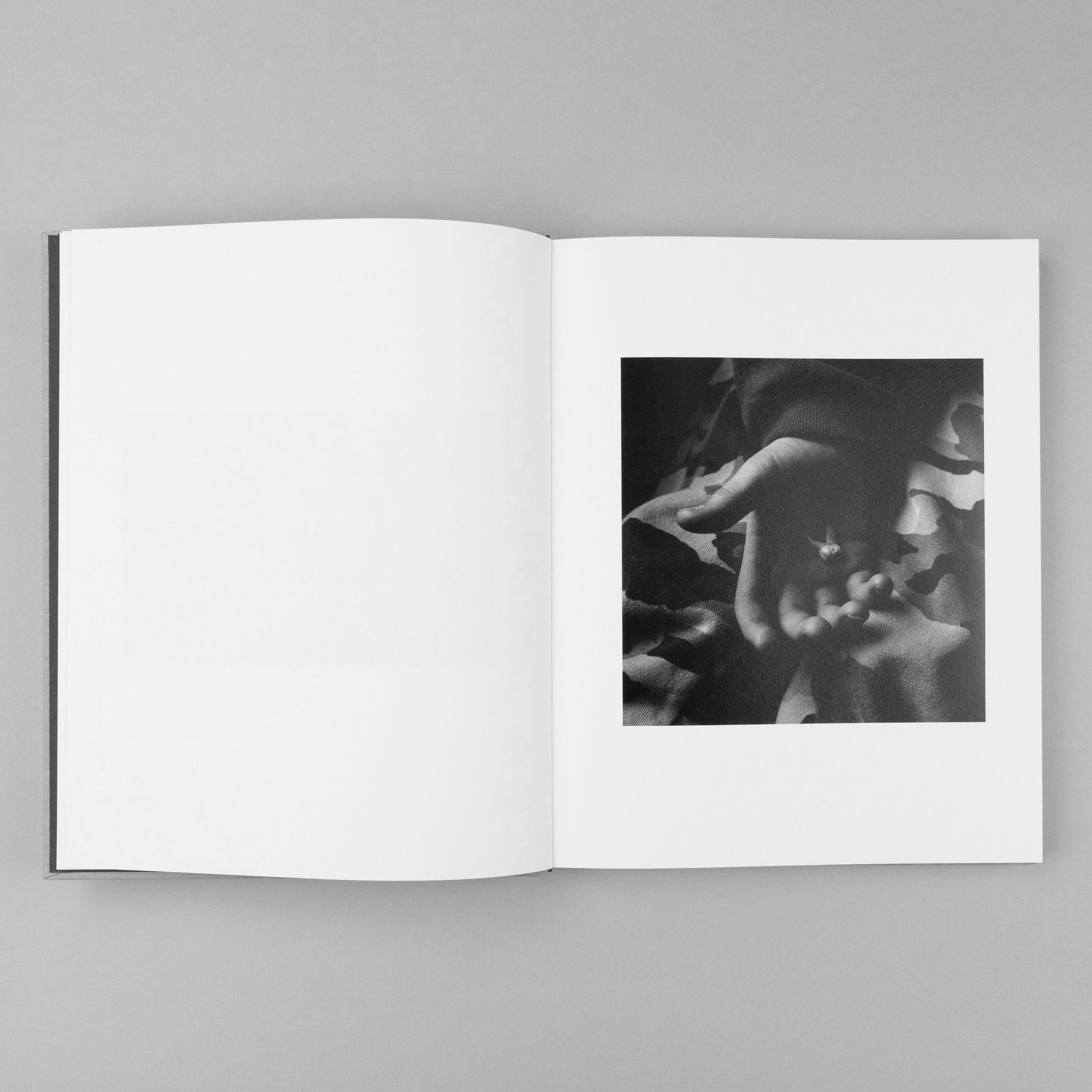 The Seraphim Slipcase Edition