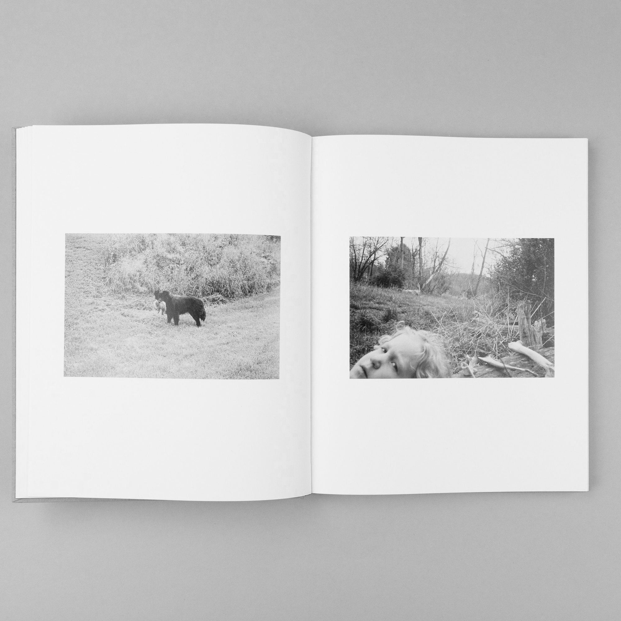 The Seraphim Slipcase Edition