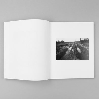 The Seraphim Slipcase Edition (Preorder)