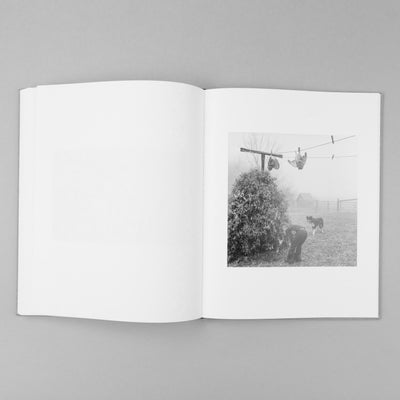 The Seraphim (Preorder)