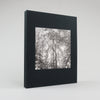 The Seraphim Special Edition (Preorder)