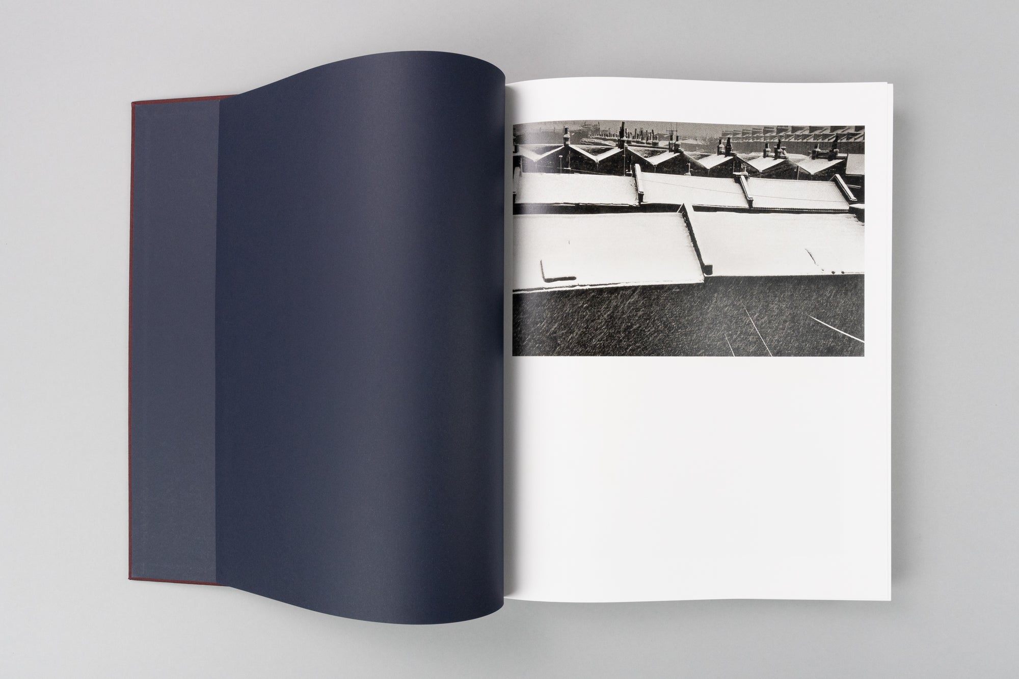 Life, Death and Everything in Between by