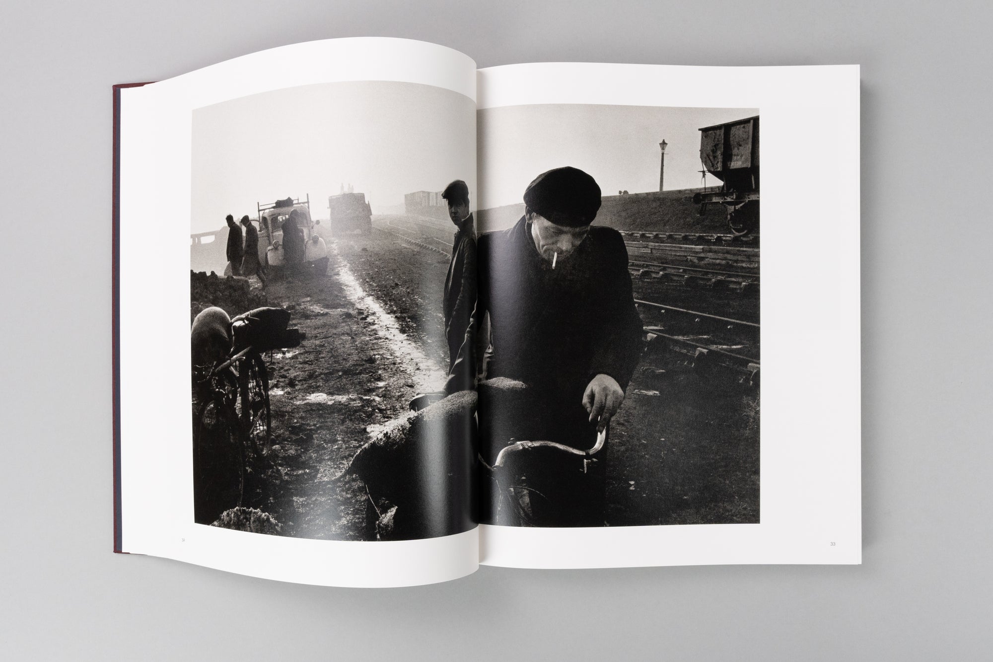 Life, Death and Everything in Between by