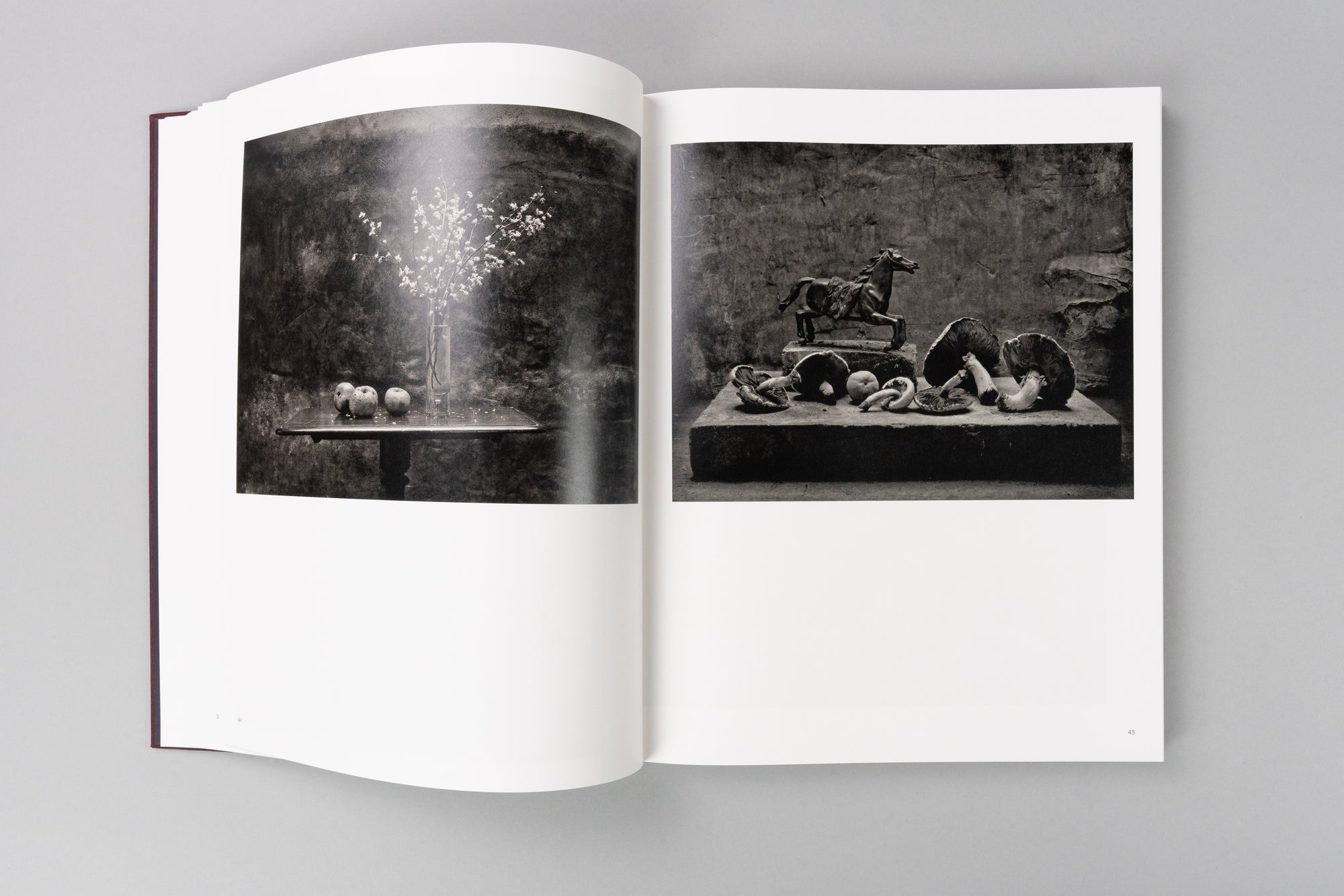 Life, Death and Everything in Between by