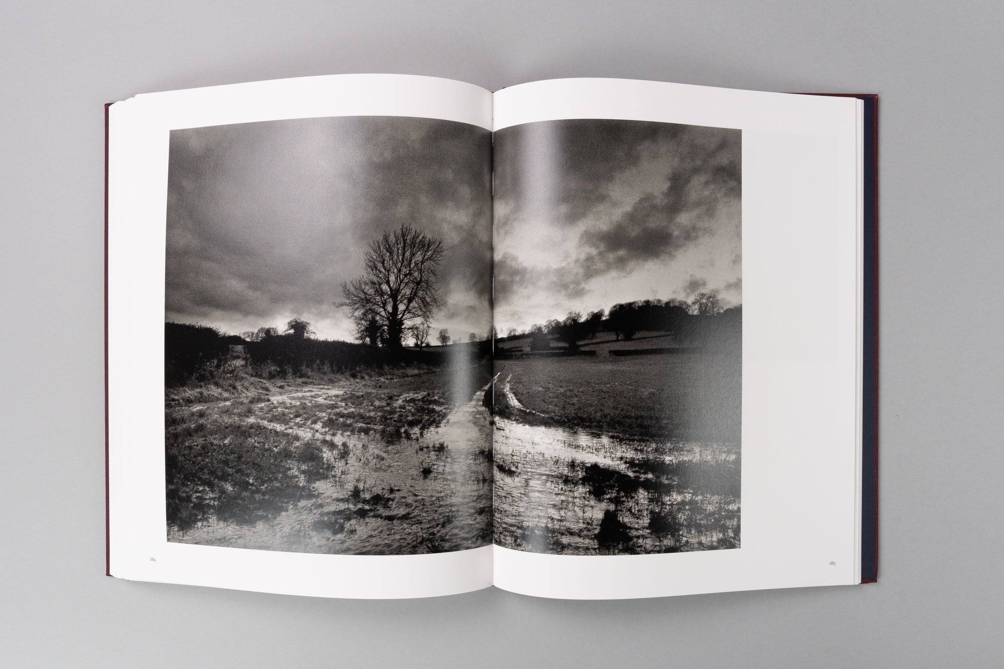 Life, Death and Everything in Between by