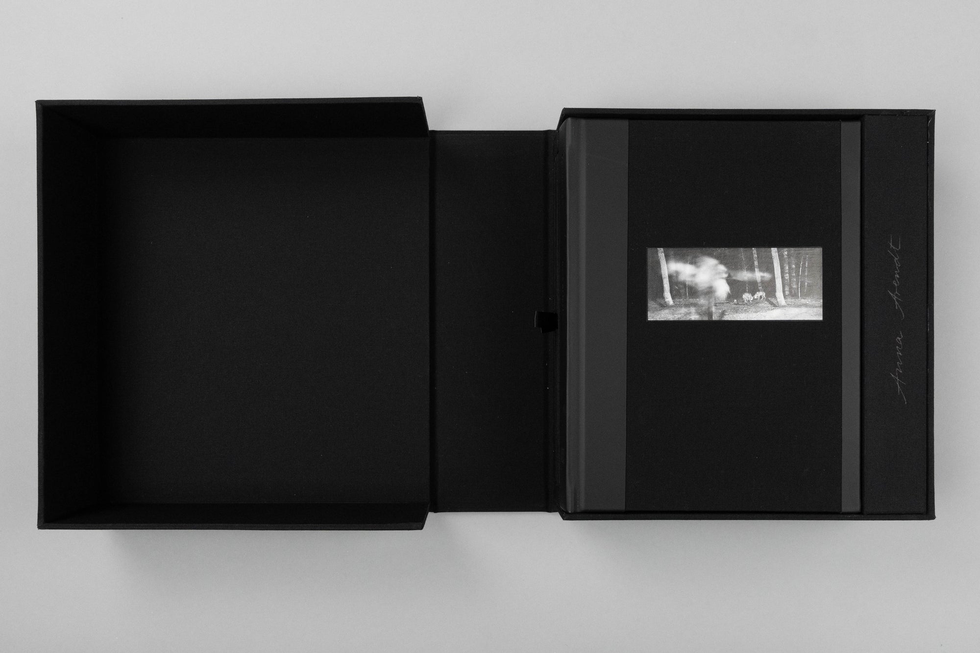 Vanishing Special Edition