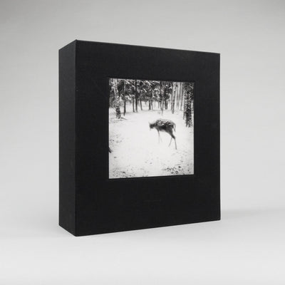 Vanishing Special Edition