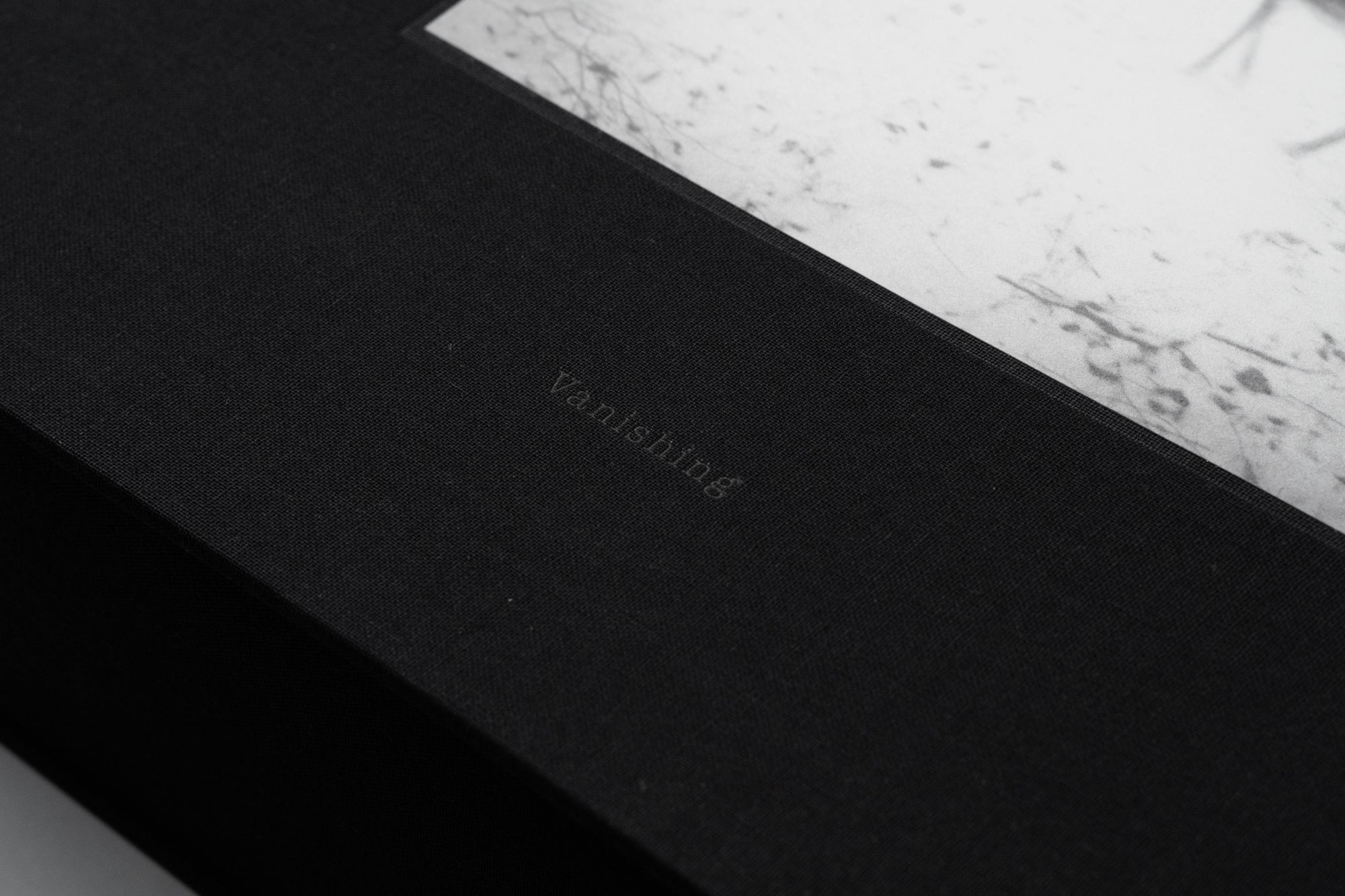 Vanishing Special Edition