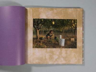Stone Soup