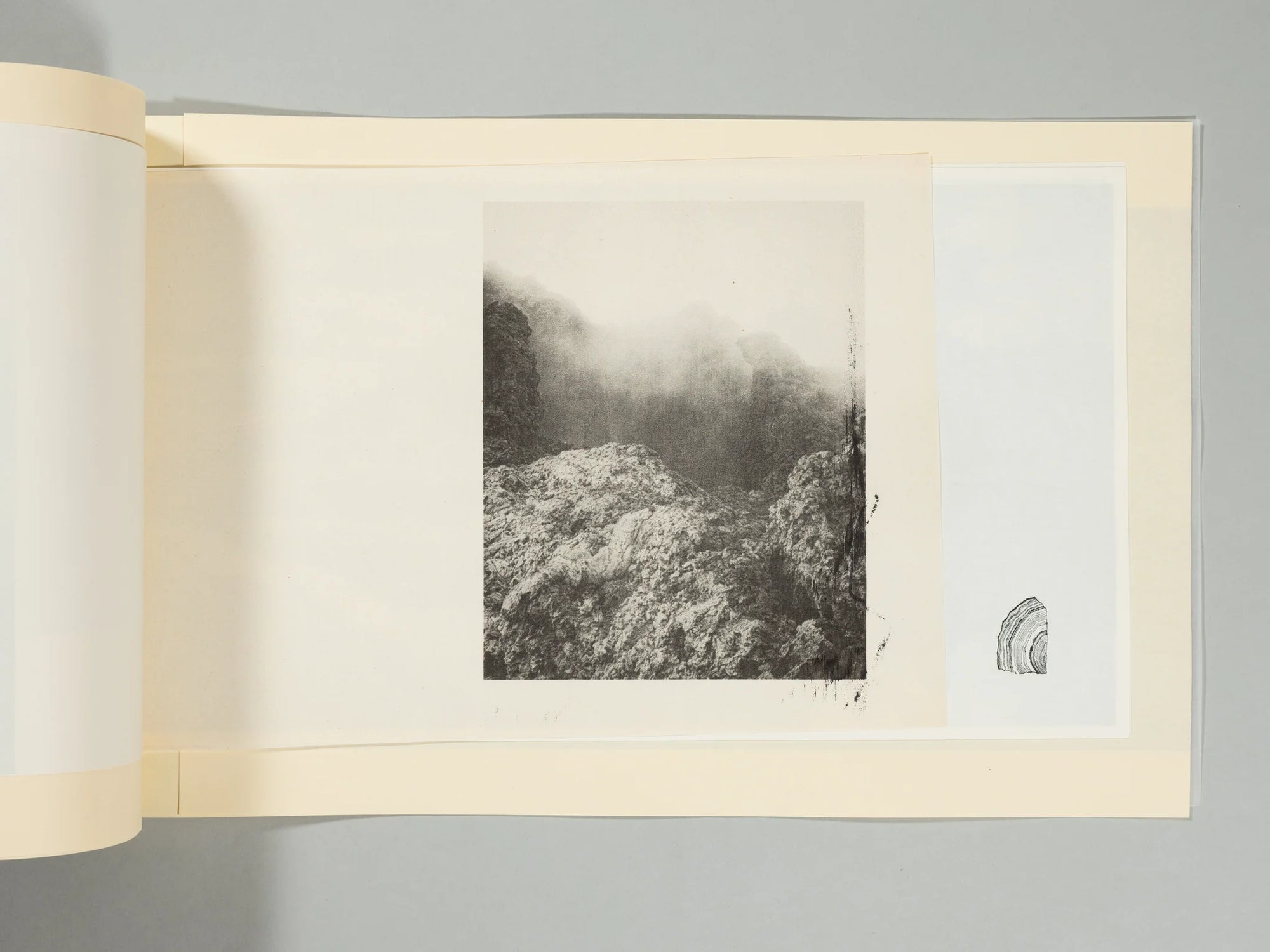 These Earthly Shores (Second Edition)