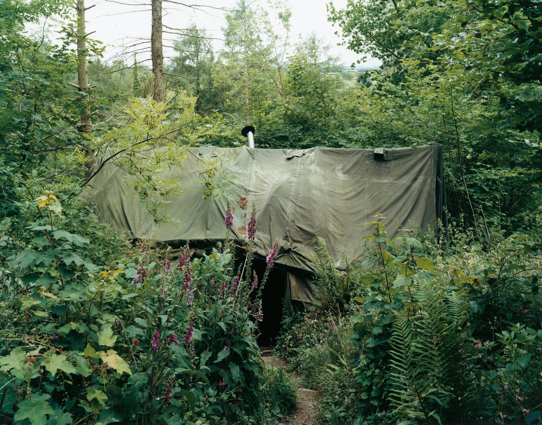david jungle camp Settlements