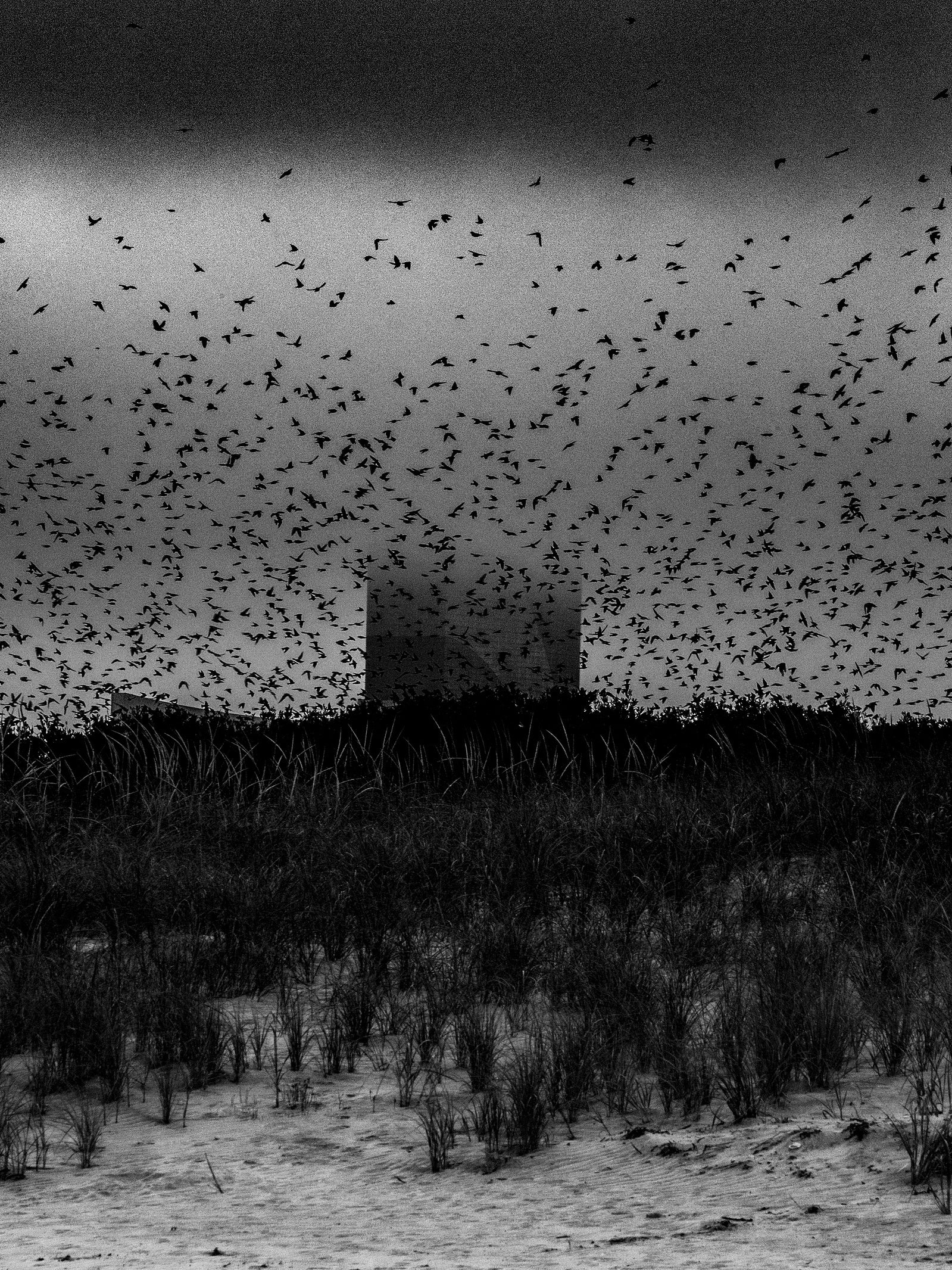 Alone Together (One Last Trip Around the Garden)