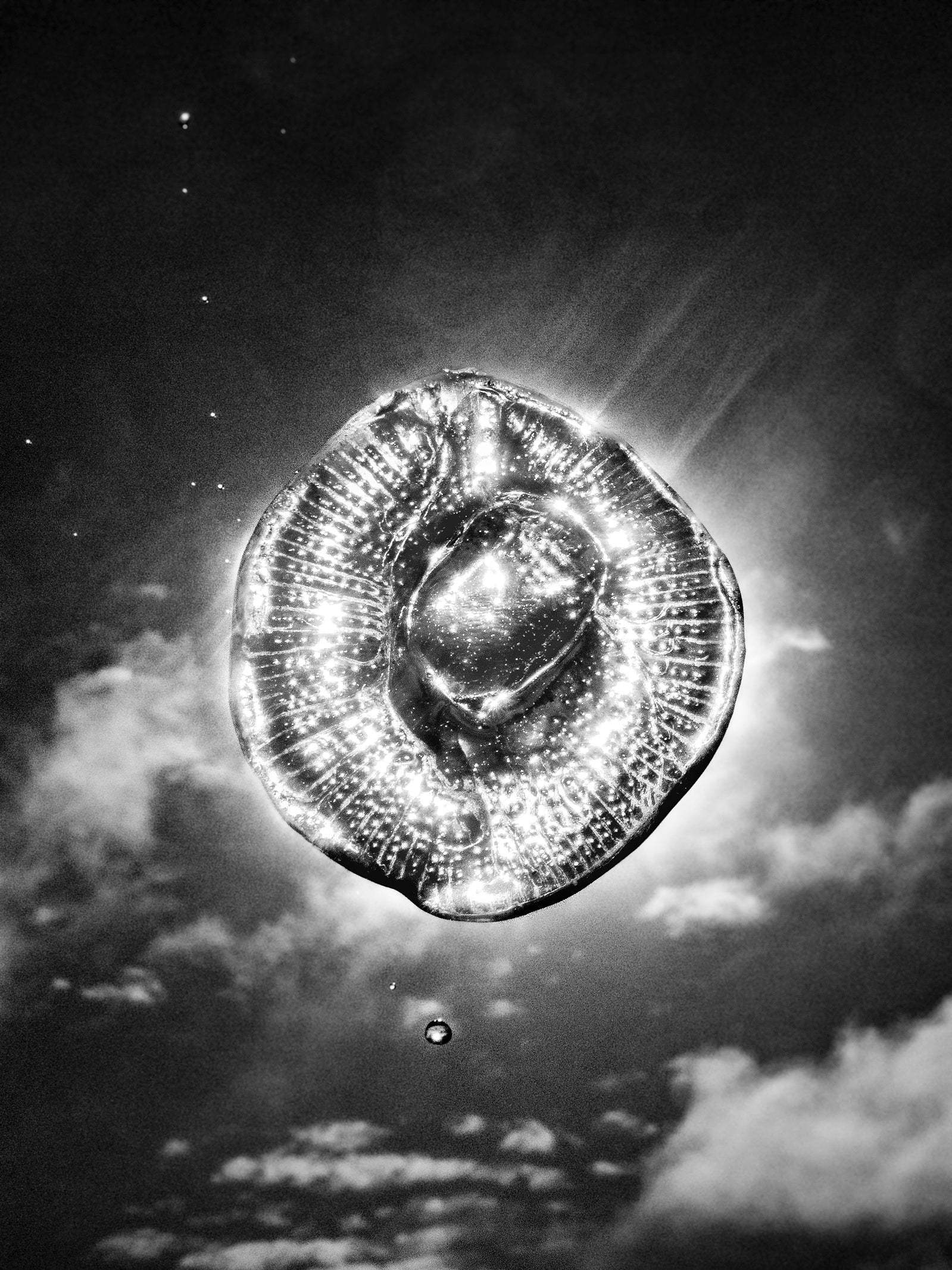 Alone Together (One Last Trip Around the Garden)