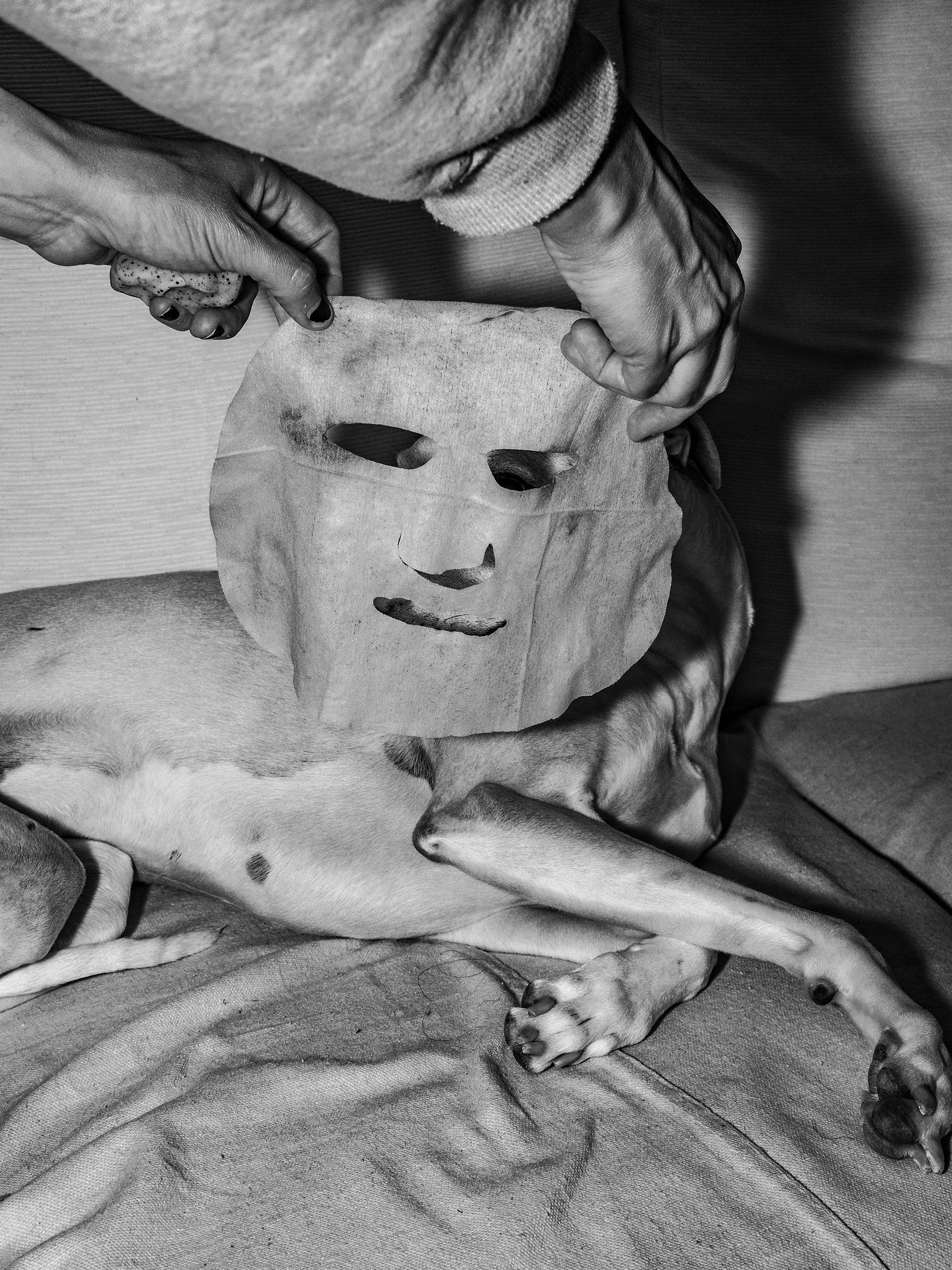 Alone Together (One Last Trip Around the Garden)