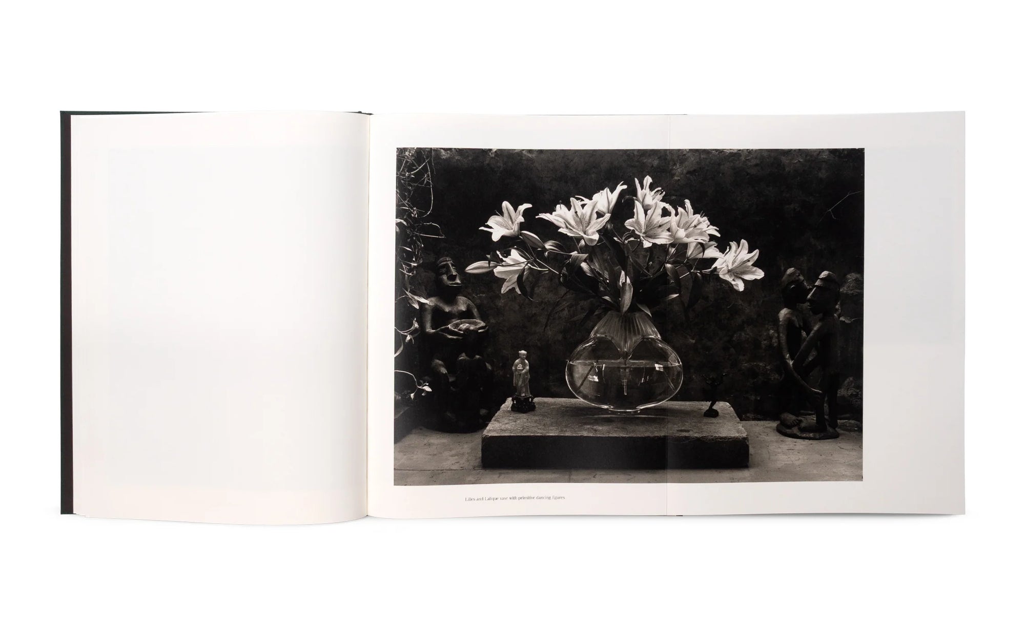 The Stillness of Life