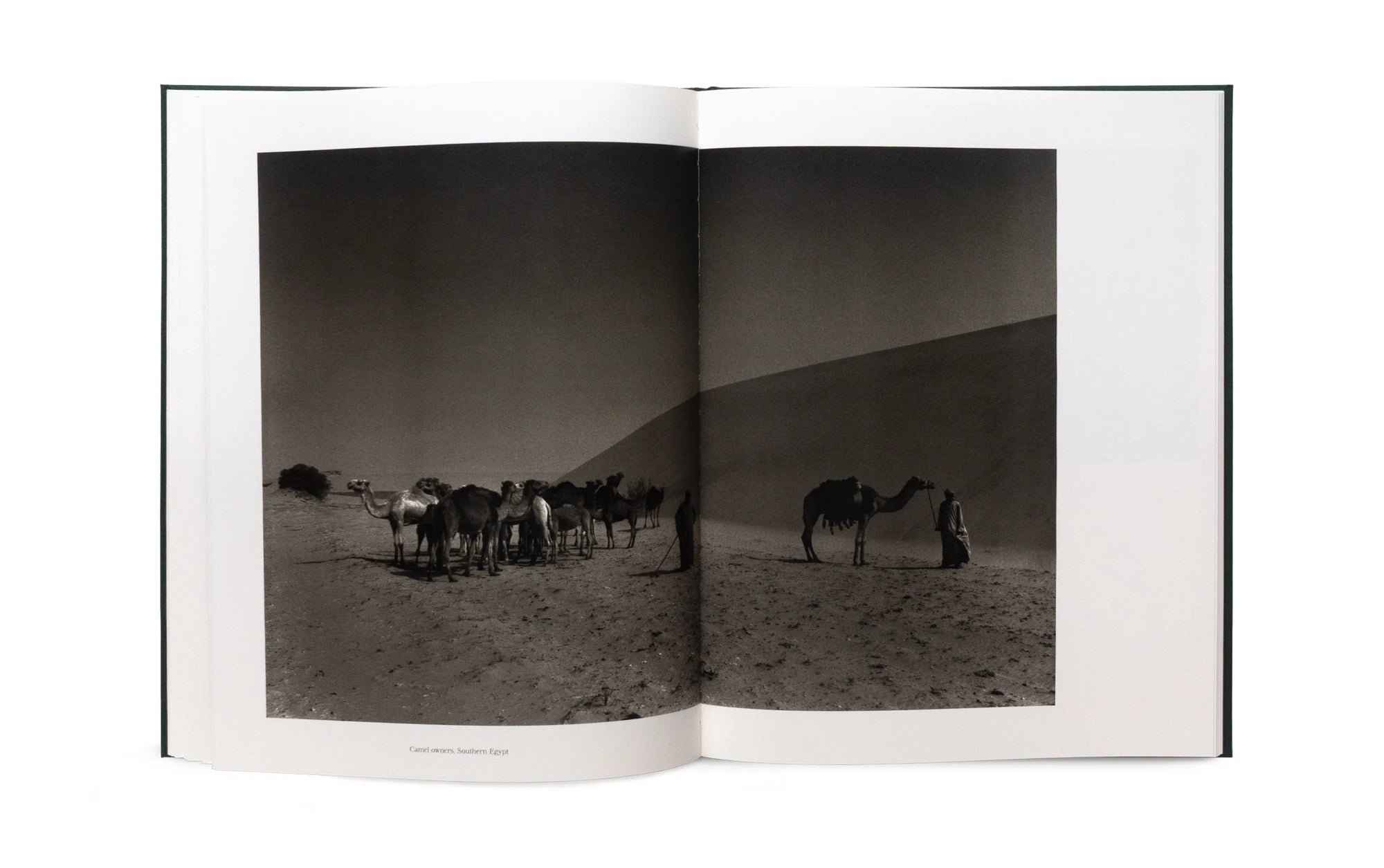 The Stillness of Life