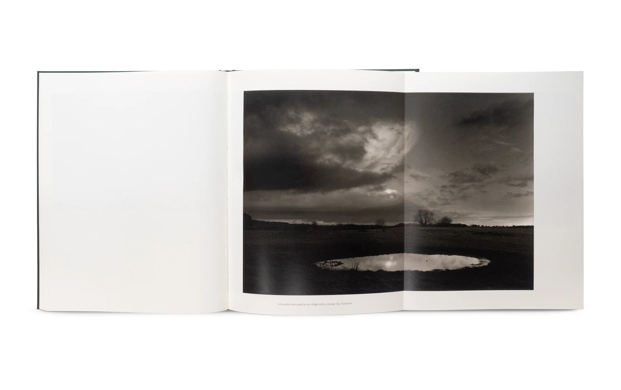 The Stillness of Life