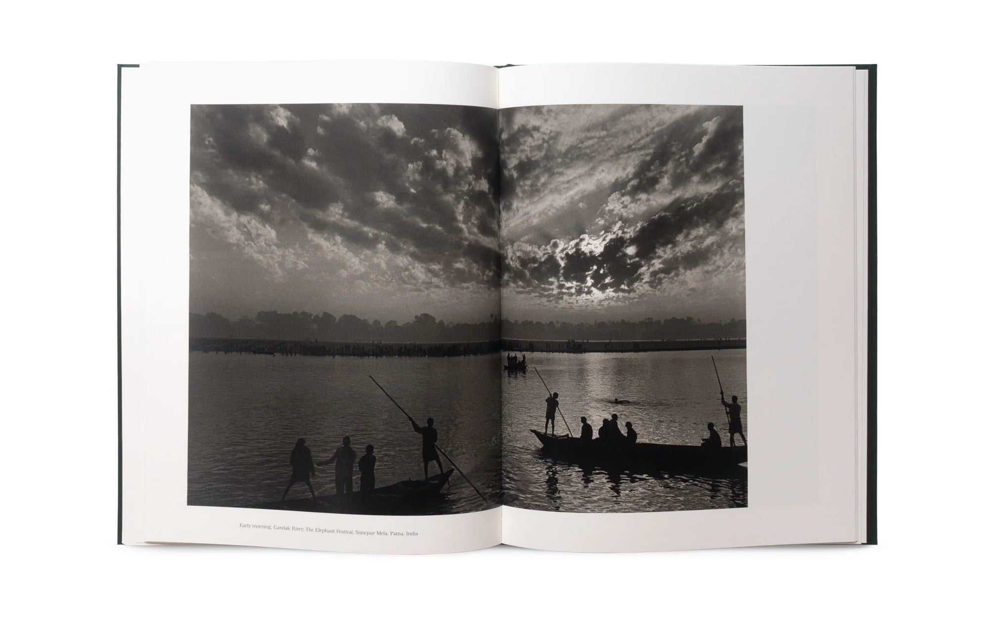 The Stillness of Life