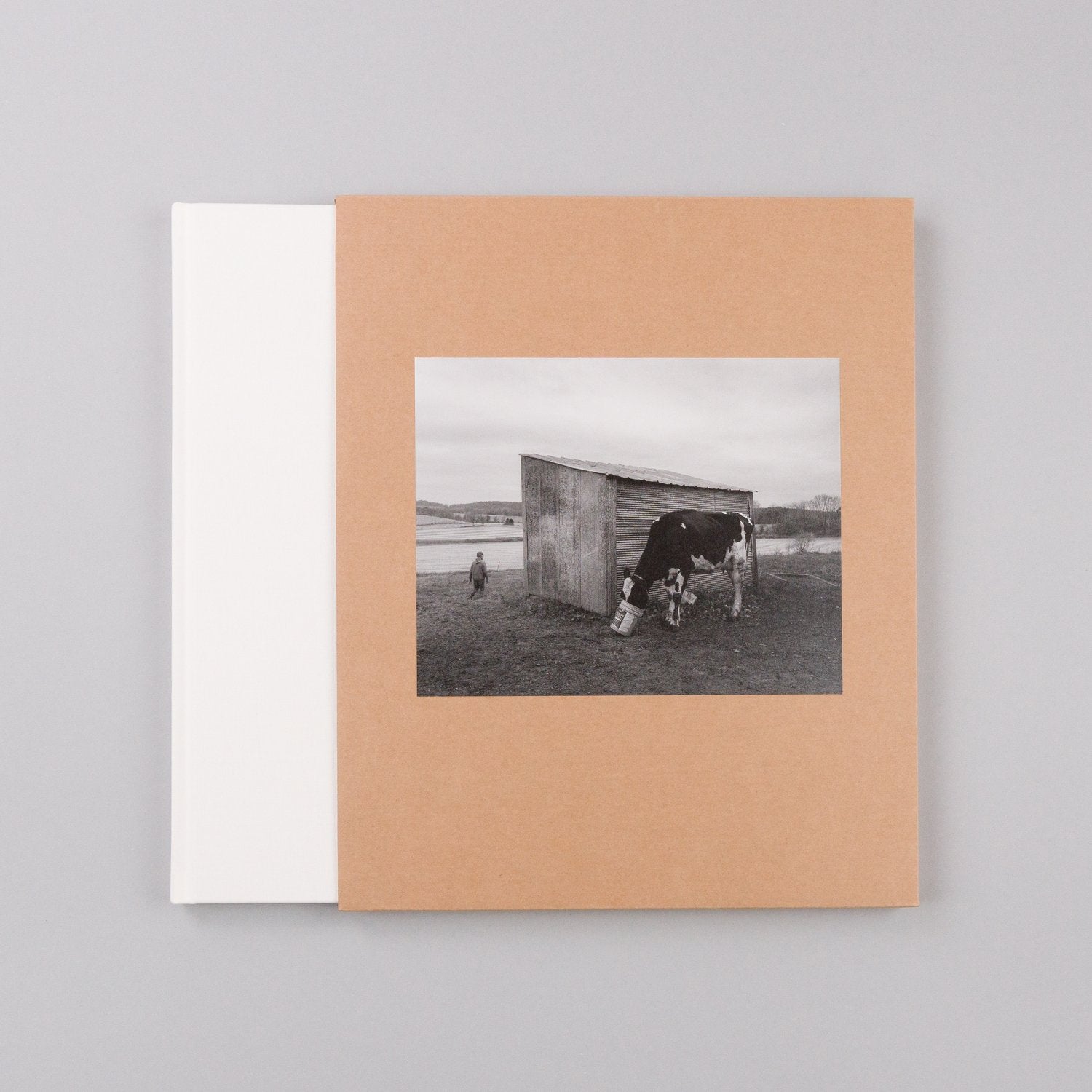 Dormant Season Special Edition