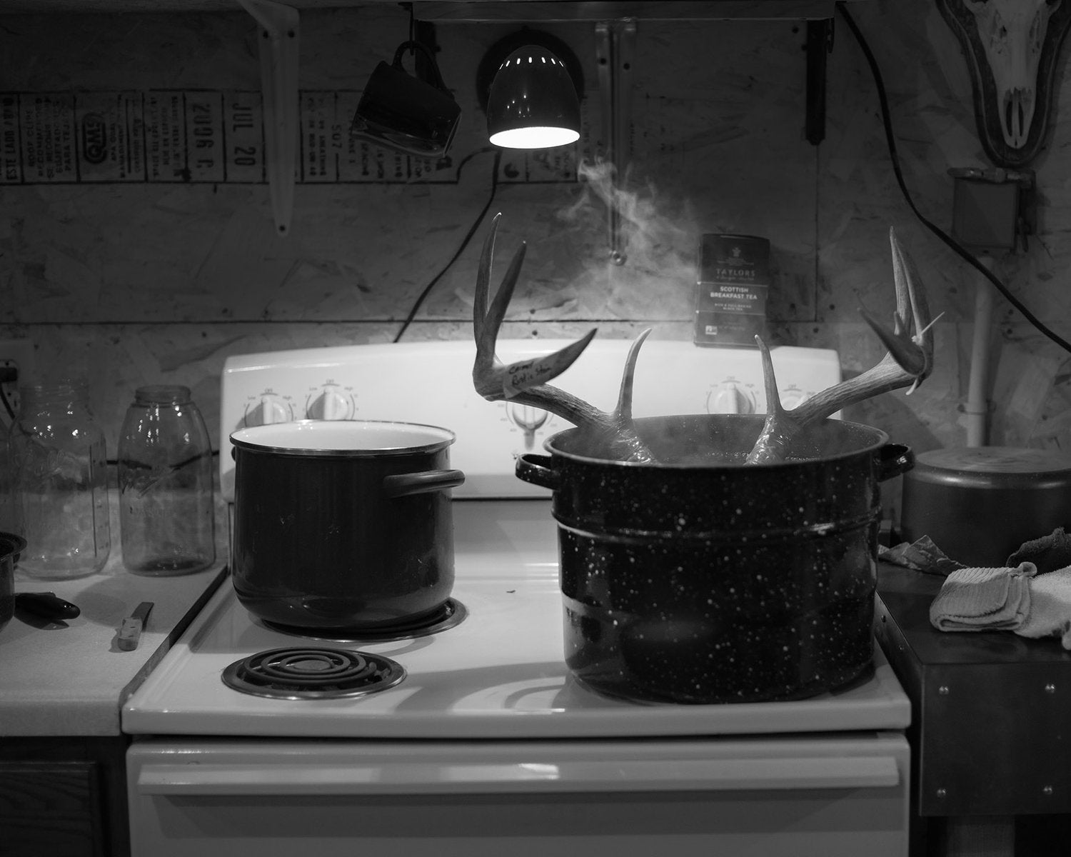 Dormant Season Special Edition