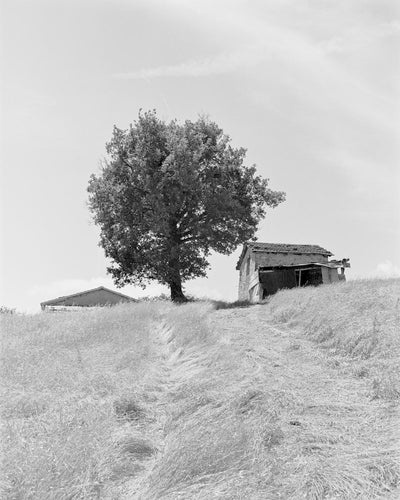 Borderland
