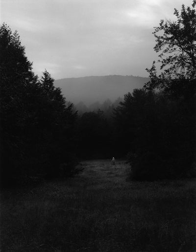 At Night Gardens Grow