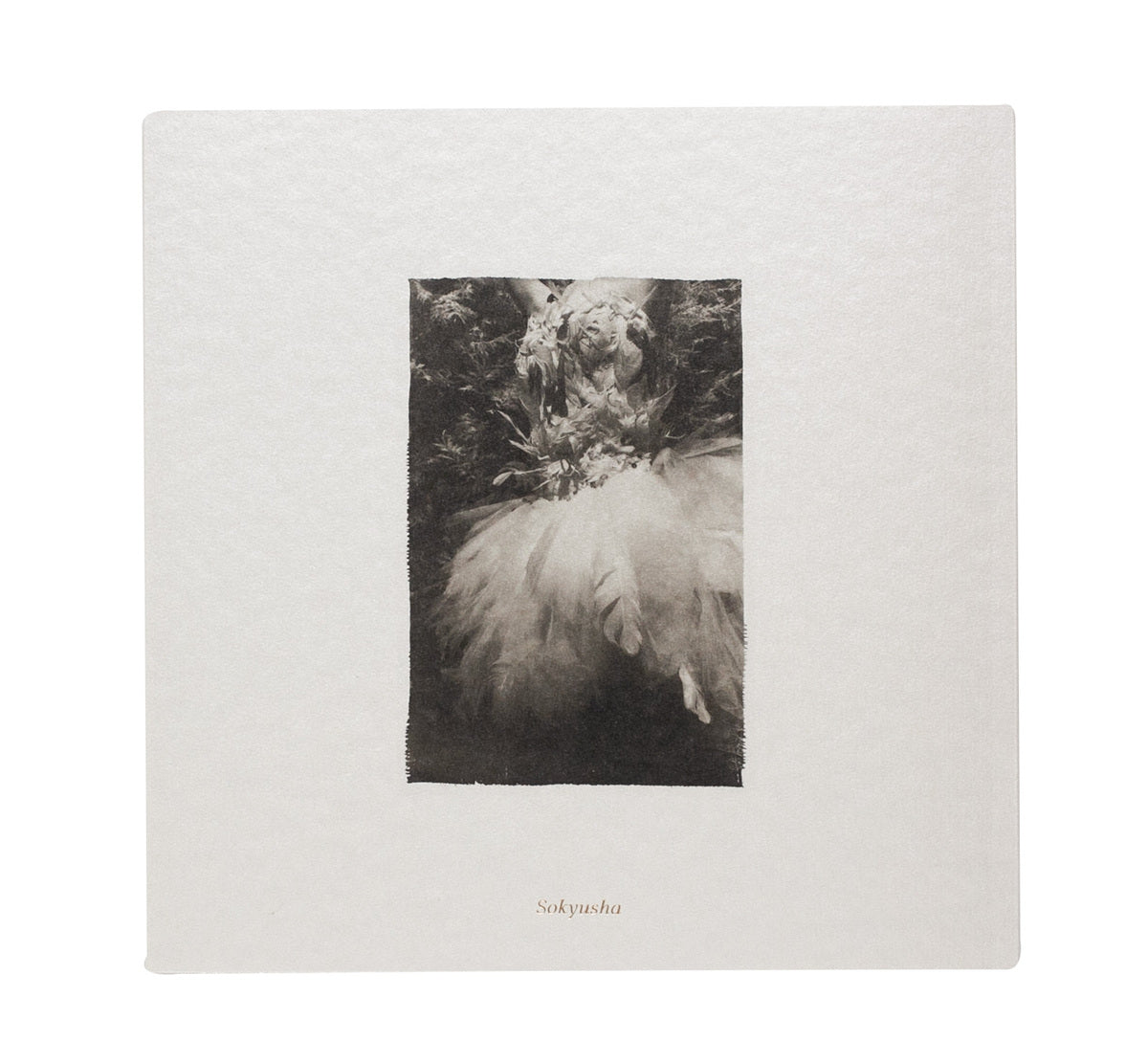 Adagio dans la forêt