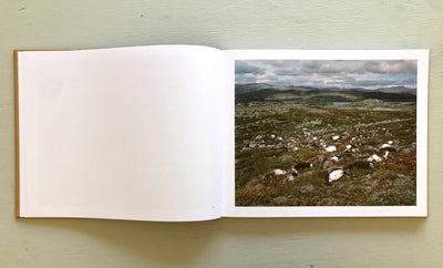 The Plateau