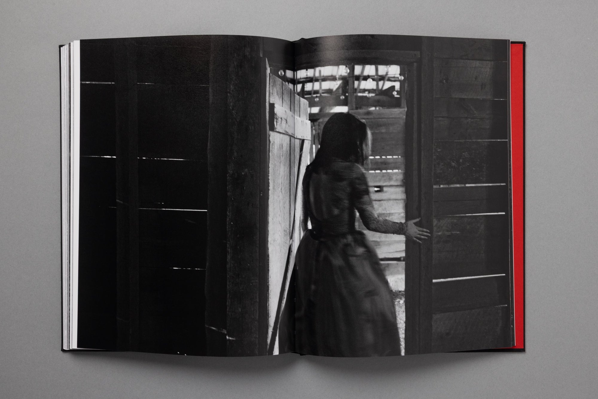 King of All the Land: Mitski