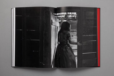 King of All the Land: Mitski