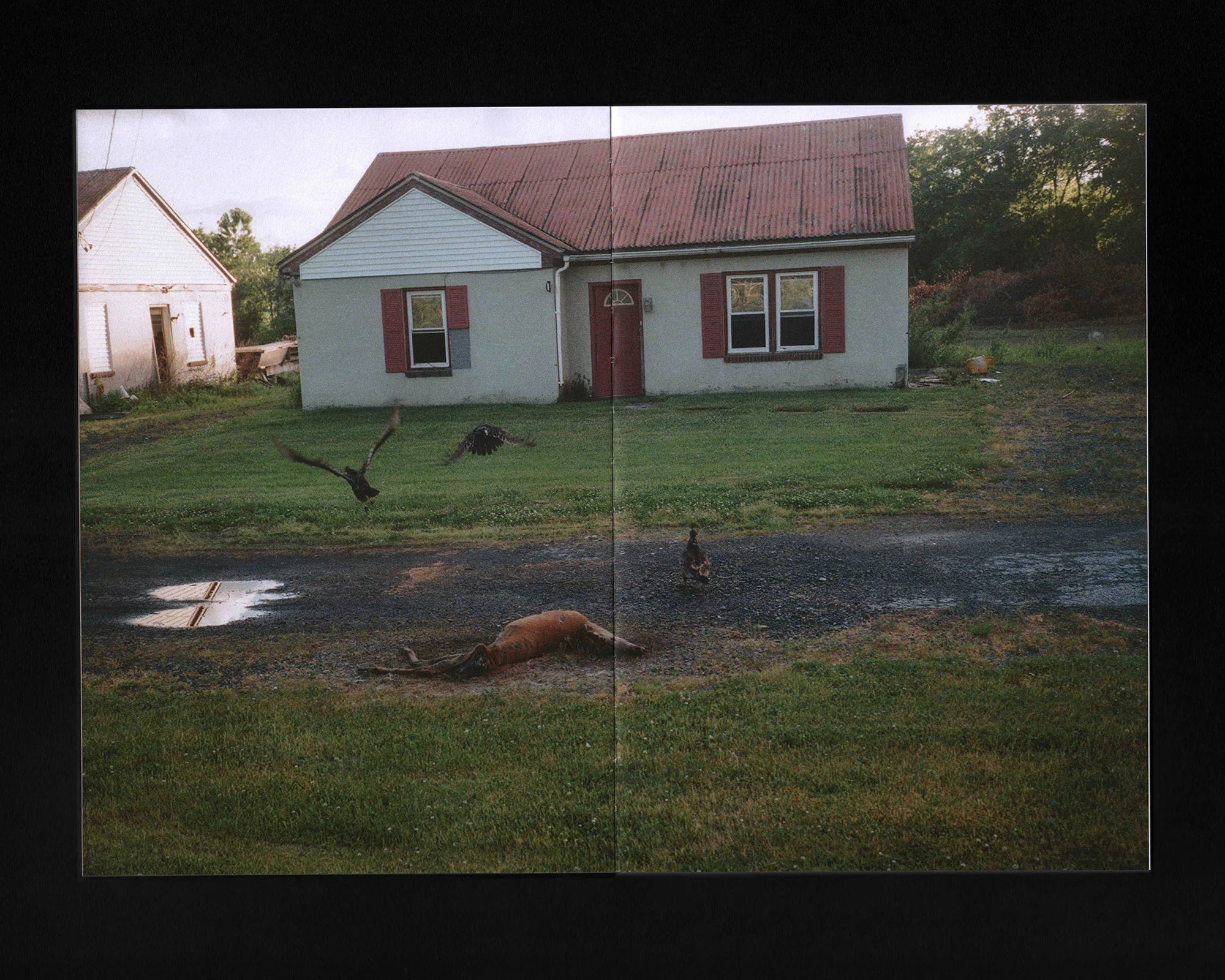 Road Pictures 2017–2024