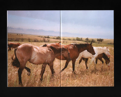 Road Pictures 2017–2024