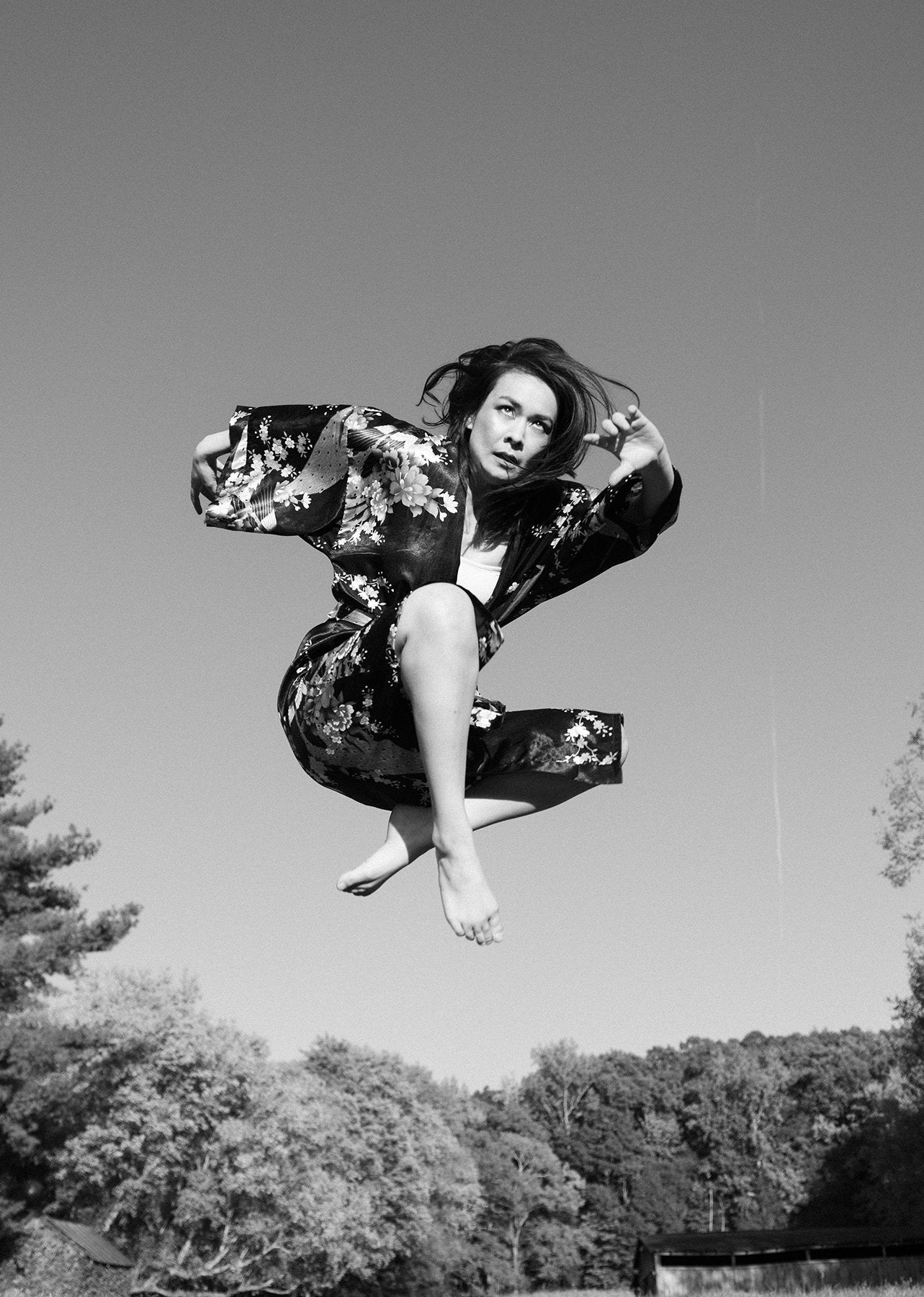 King of All the Land: Mitski