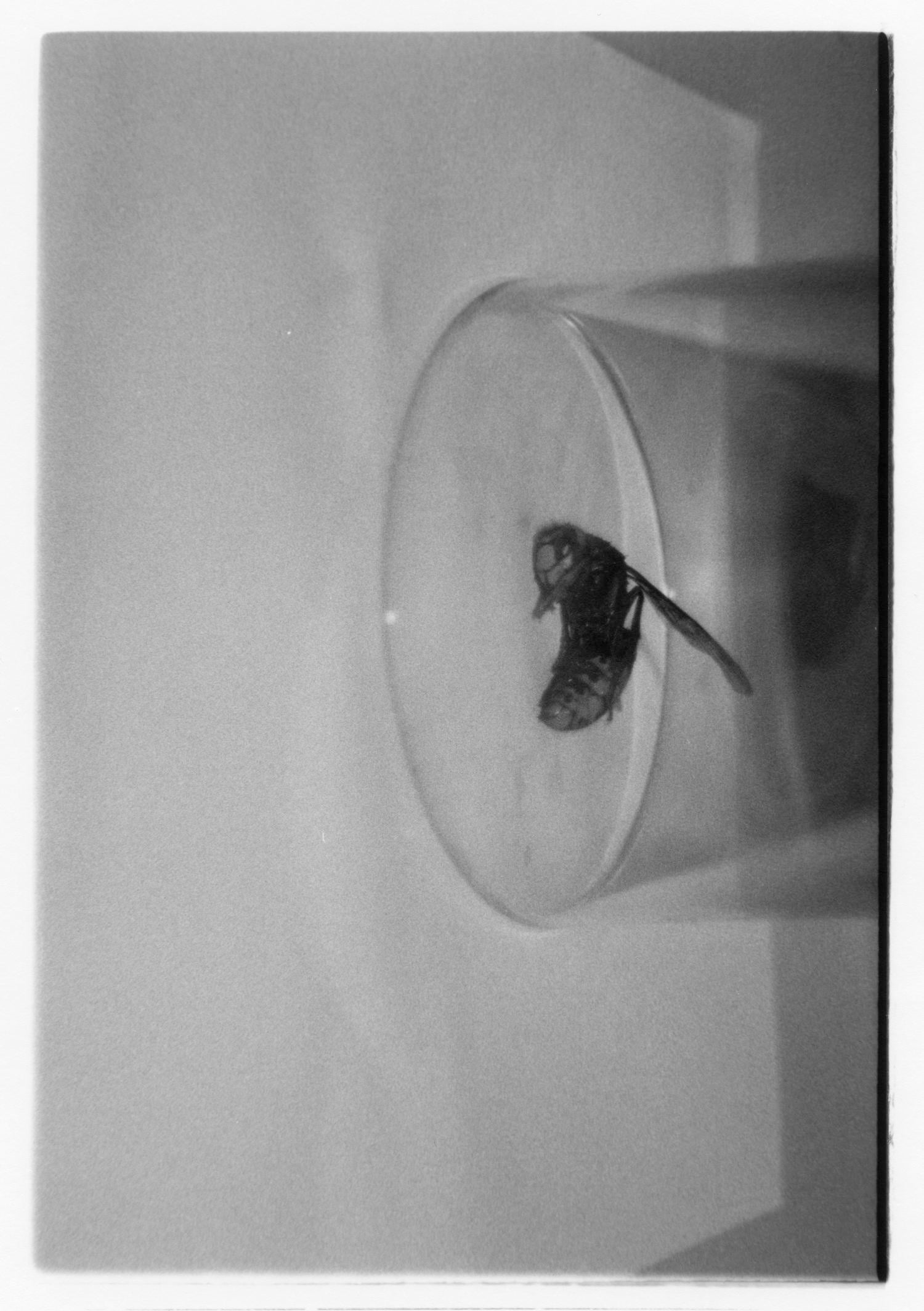 She could see herself in the darkness