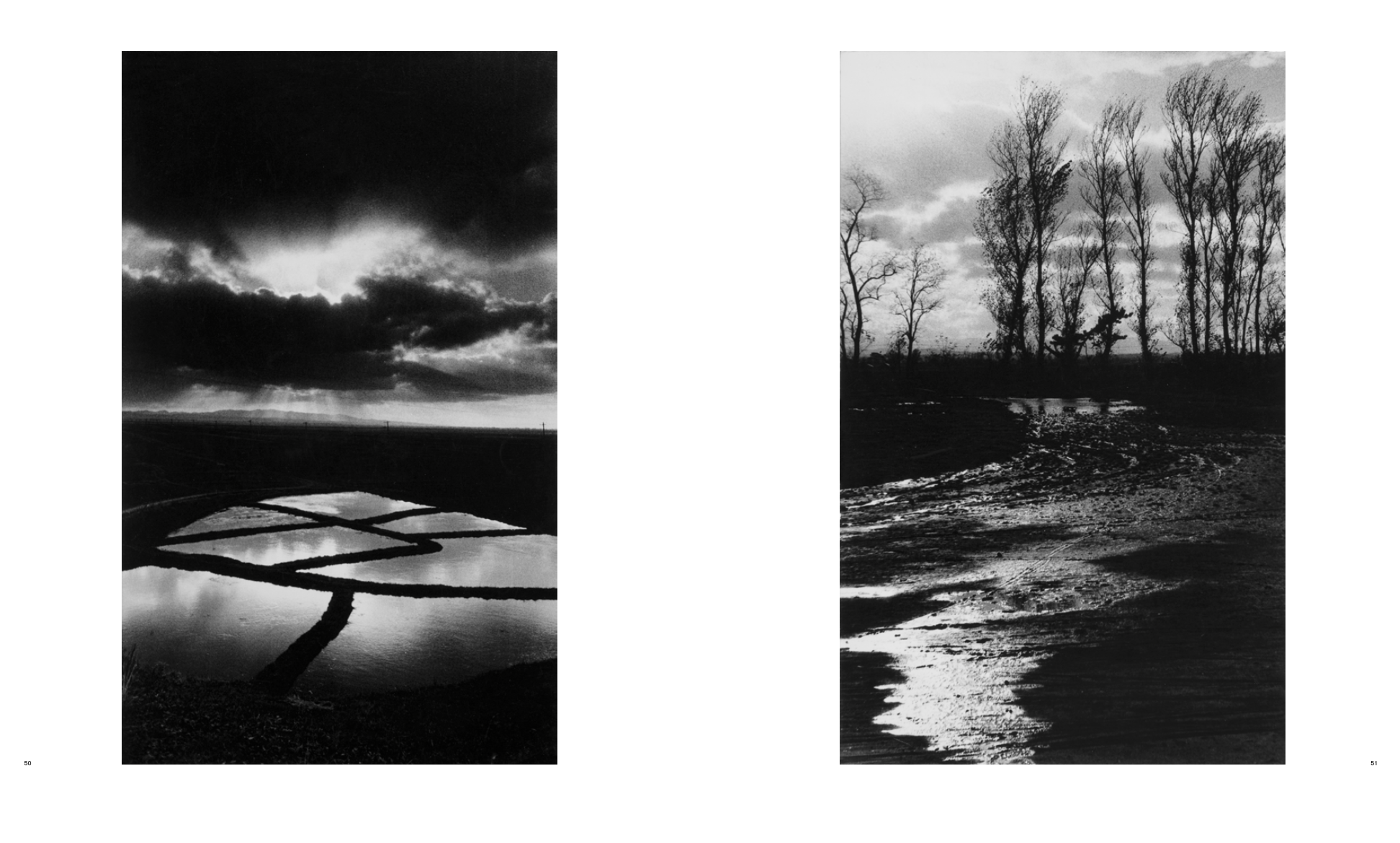 野又稔画集  NOMATA ー STANDING STILL Nomata Standing Still | 野又穫画集 | nostos books ノストス