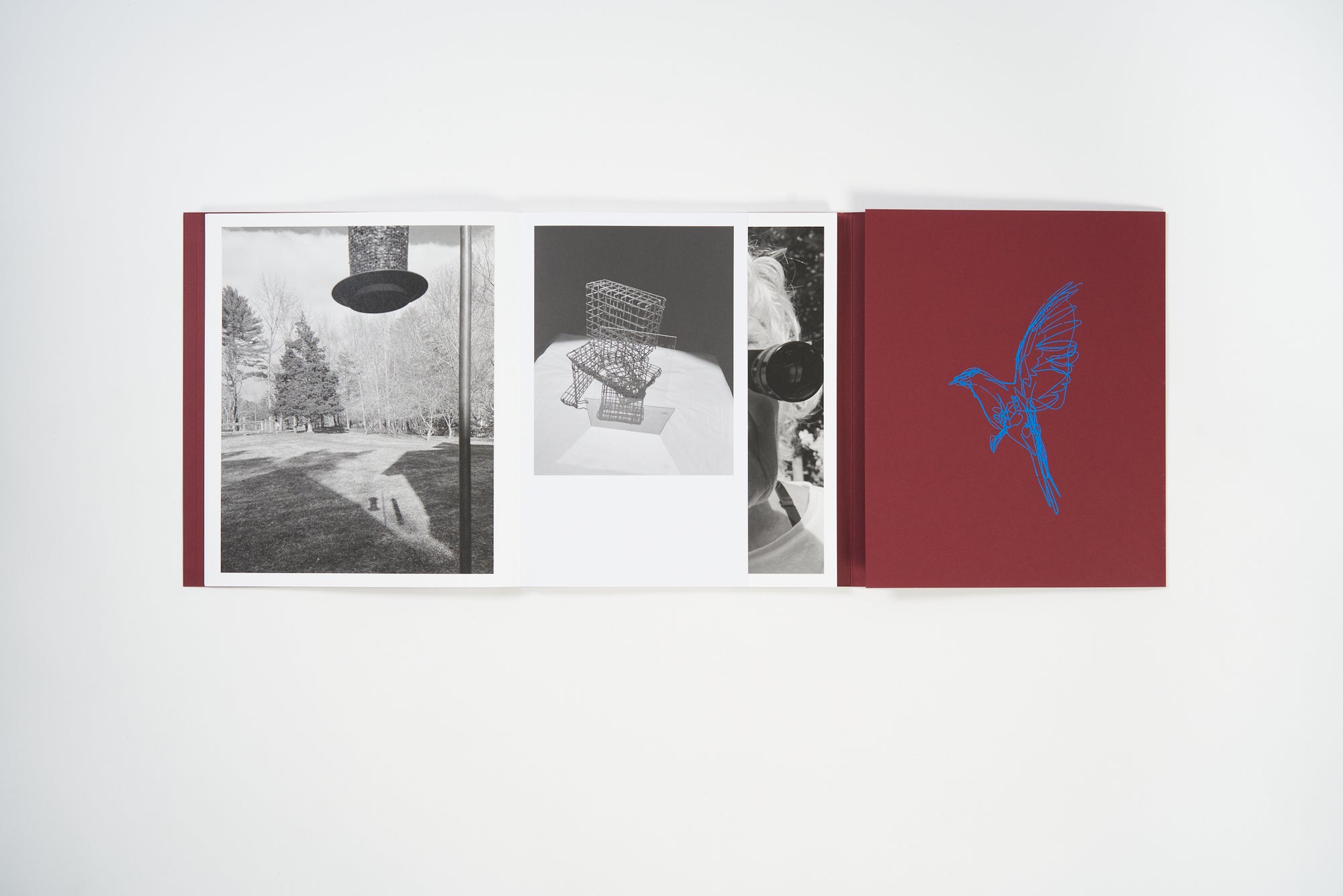 Calling The Birds Home